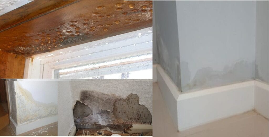 Thermal Insulation layer in Building Envelope can Solve Moisture Condensation issues in building Interiors